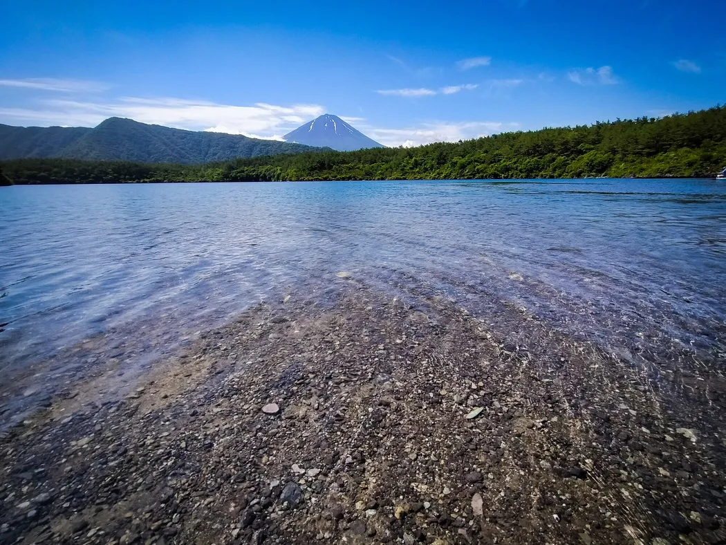 青木ヶ原樹海早朝プライベートツアーの風景2