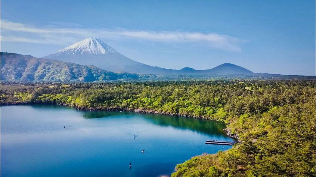 樹海トレイルの風景5